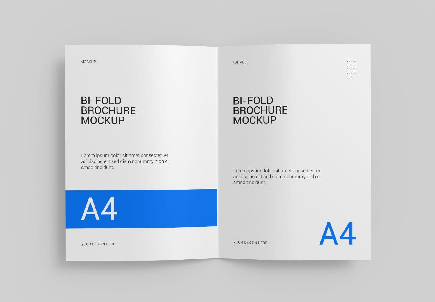 Bi-Fold Brochure A4 Mockup Open View