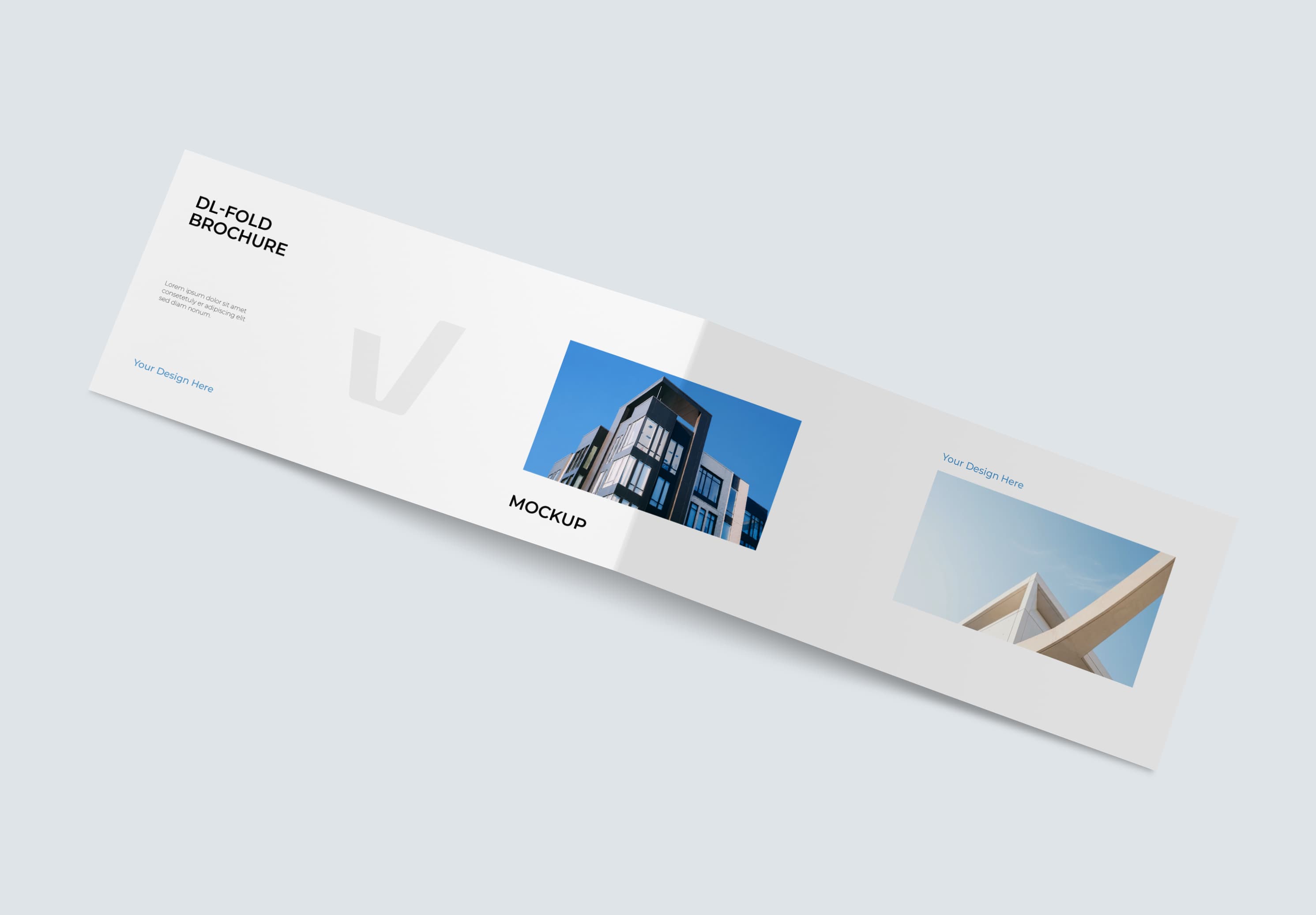 DL BiFold Brochure Mockup | MockupHive